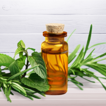 Make Your Own Organic Body Oil - 2 Hours Workshop in Toronto